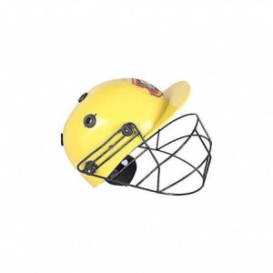 Cricket Helmet