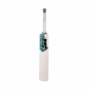 WILLOW CRICKET BAT
